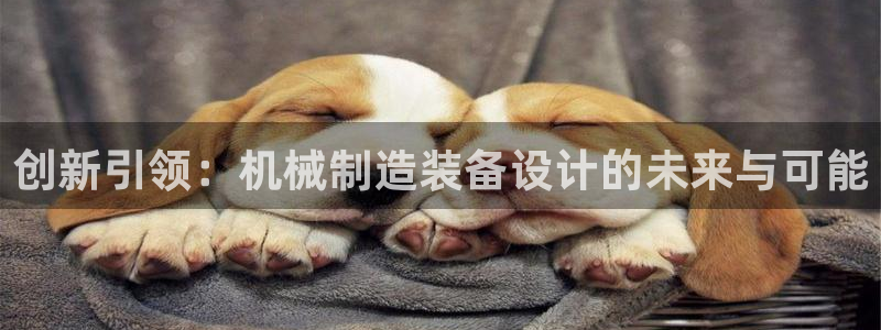 云顶国际服什么时候更新
