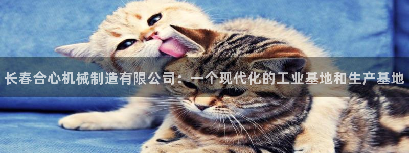 云顶国际晟荣协会