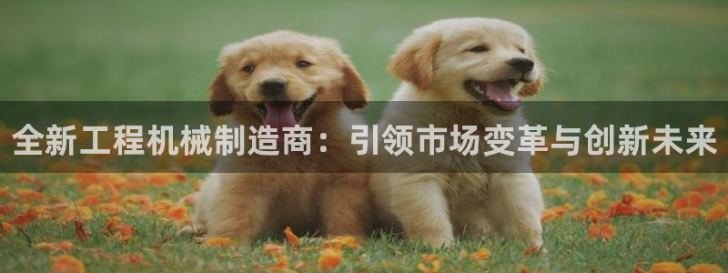 云顶国际是黑台吗还是白台