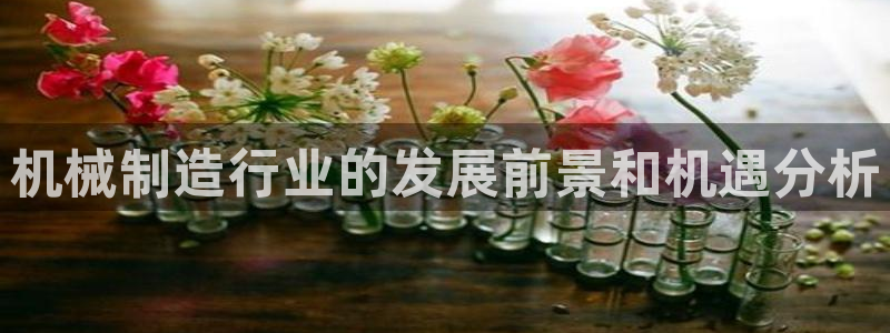 云顶国际公馆在哪个街道