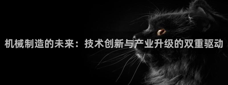 云顶国际公馆在哪个区