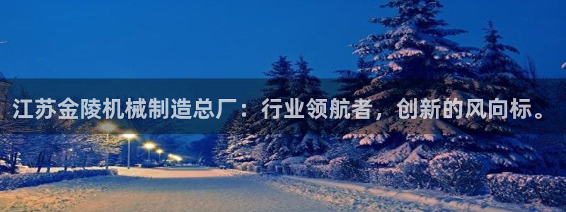 云顶国际物流有限公司