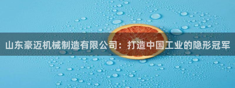 云顶国际是做什么的