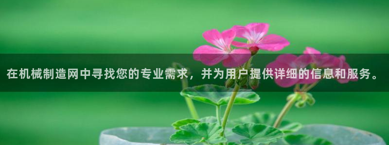 官方云顶国际网站下载