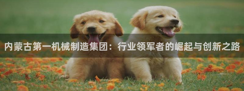 云顶游戏官网网址