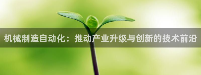 云顶国际酒店几星级的