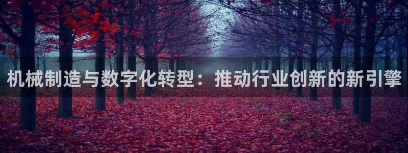 云顶国际音乐会