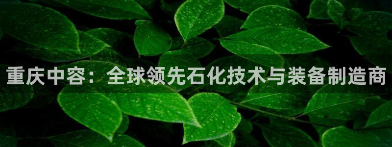 云顶国际培训中心地址