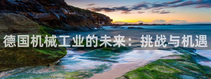 云顶集团董事长林东简历介绍