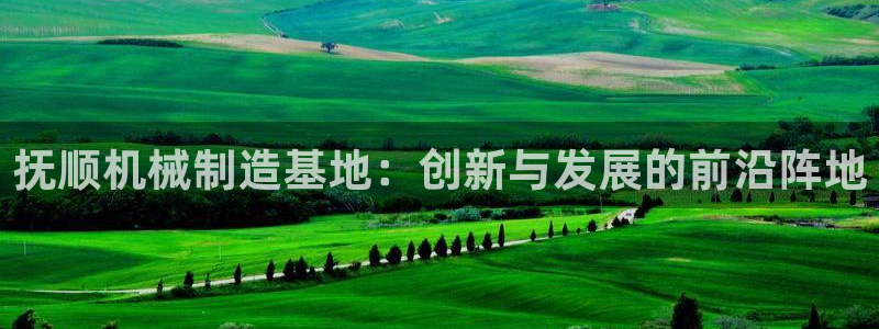 云顶国际是什么公司