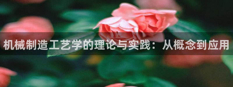 云顶国际提现多久到账