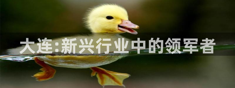 云顶国际平台为什么提现不了呢