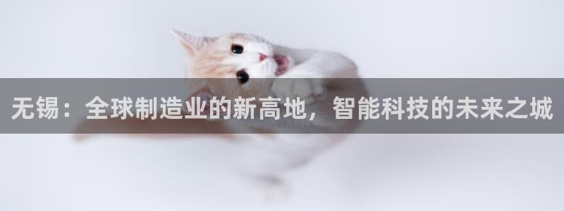 云顶国际app是什么软件