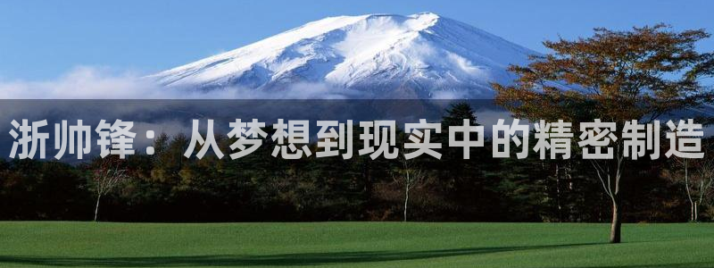 云顶集团林致华