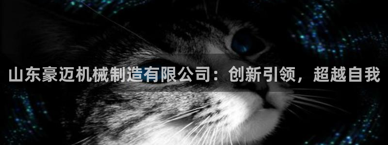 云顶国际赌彩公司下载