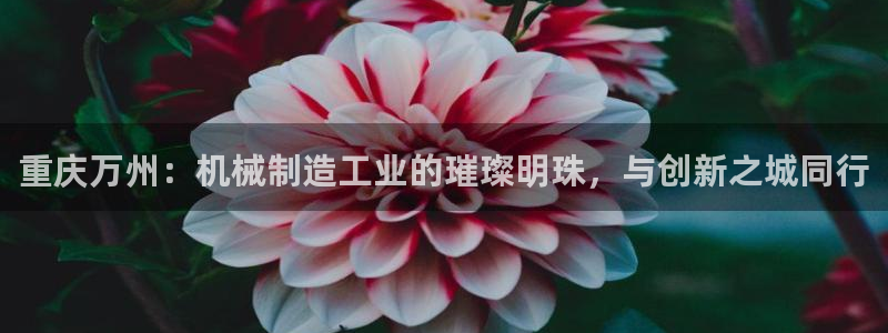 云顶国际app官方下载安卓