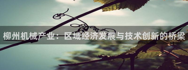 云顶国际酒店位置