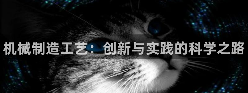 云顶国际晟荣协会会长是谁