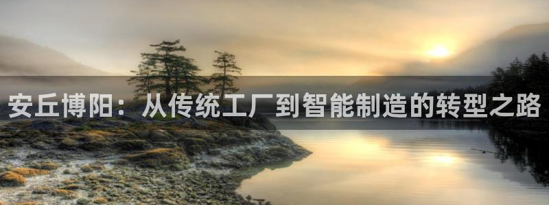 官网云顶电子游戏网站