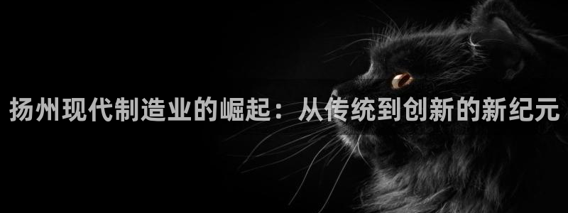 云顶国际电子游戏怎么玩