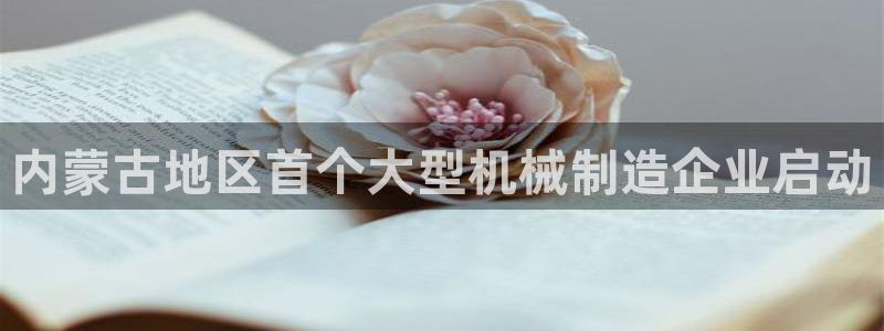 云顶国际实业有限公司