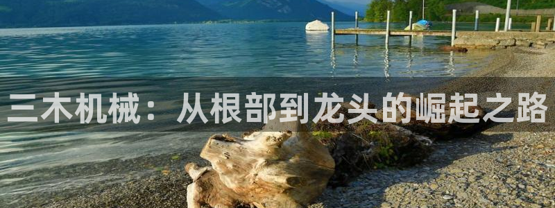 云顶集团网站是多少