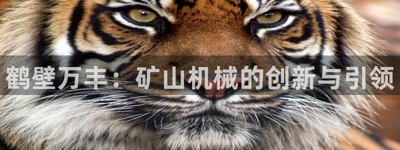 云顶国际网站是多少
