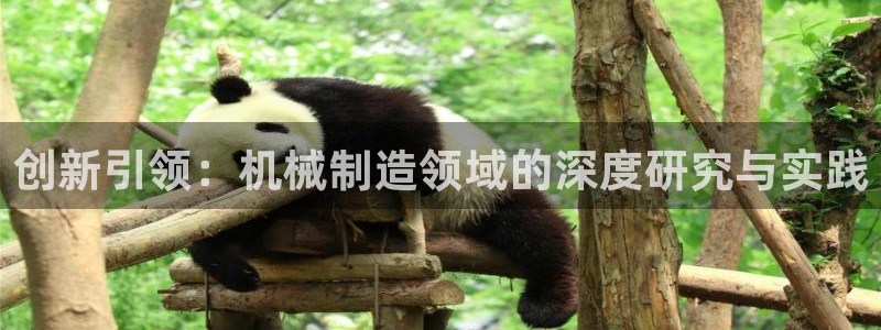 云顶手游国际服账号