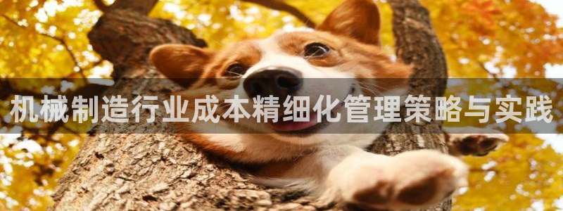 云顶zhi