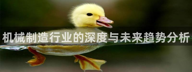 云顶国际官网官方下载