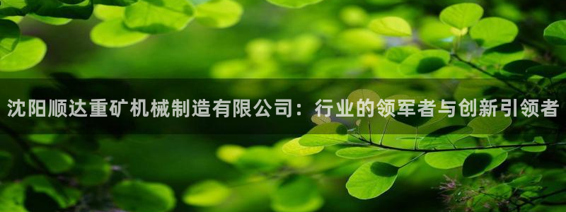 云顶国际大酒店位于哪个街道