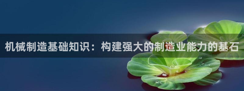 云顶电竞app
