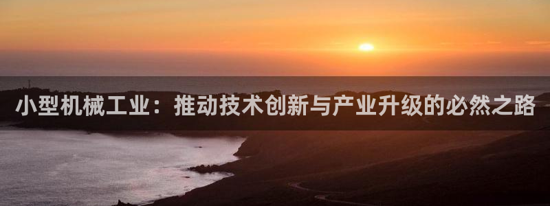 云顶手游国际版