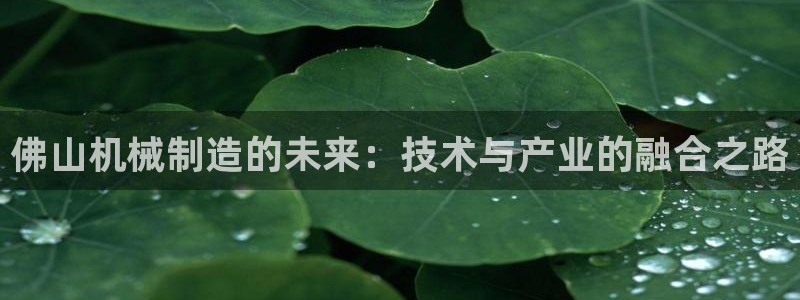 云顶国际装饰设计招聘
