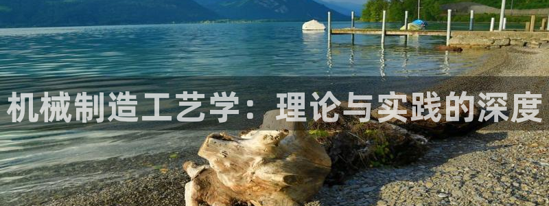 云顶集团中国区总裁